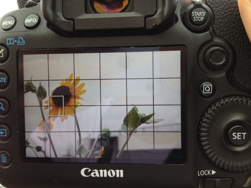 デジカメでフォーカス