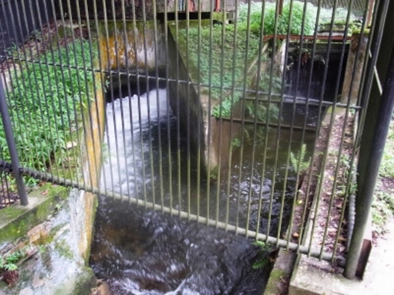 スリバチ、京都
