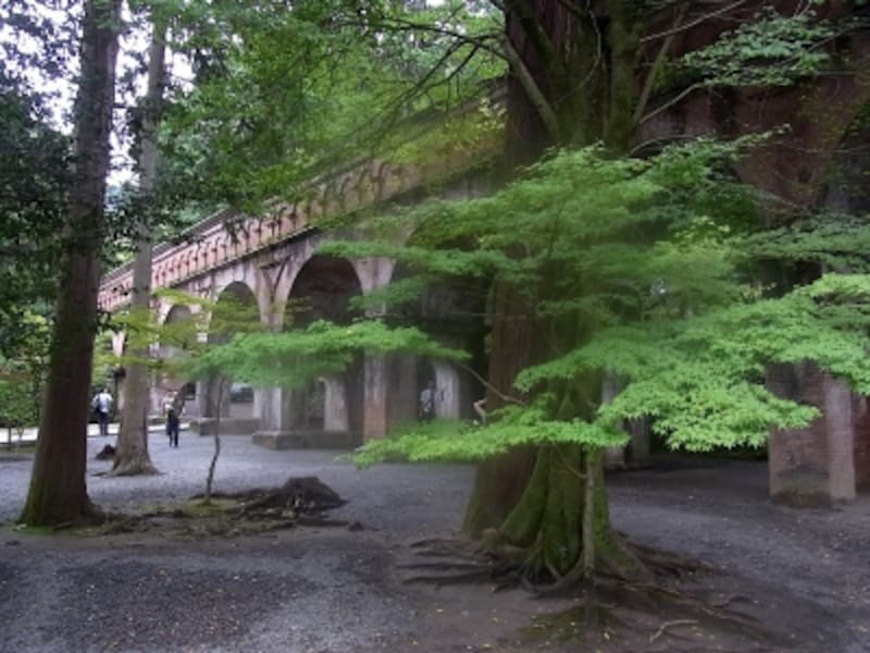 スリバチ、京都