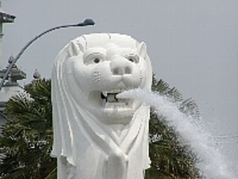 勢い良く水を噴出すマーライオンの姿が見られます。