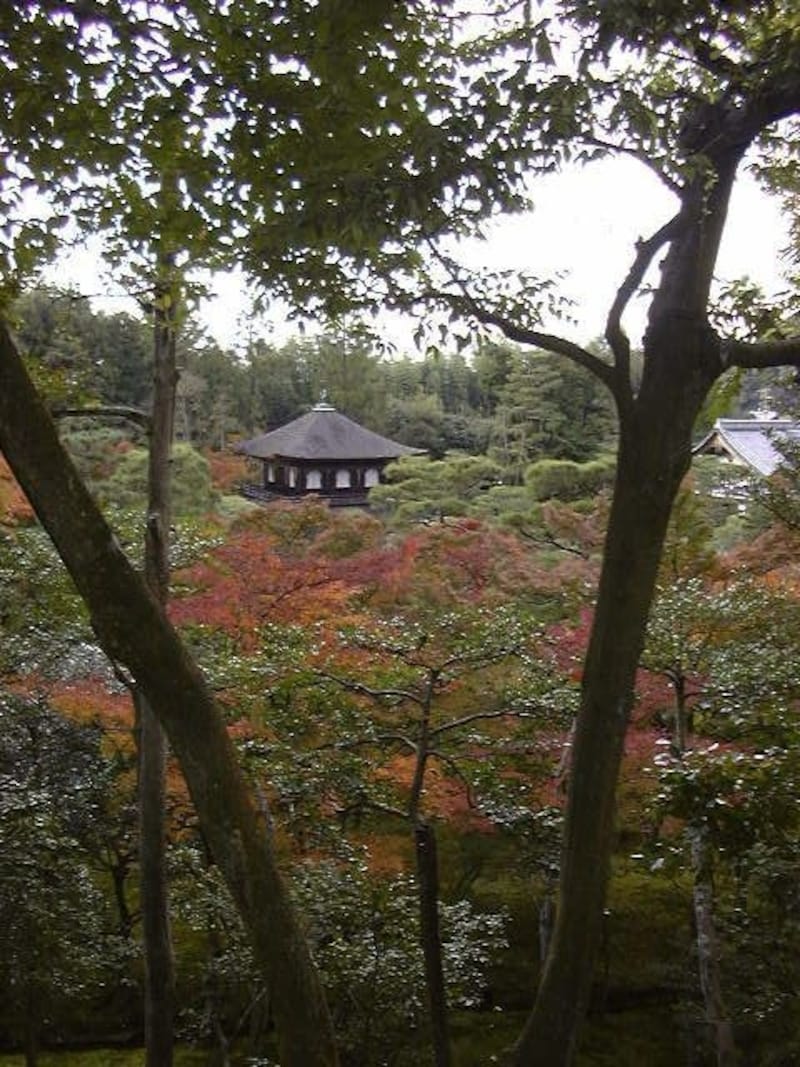 銀閣寺の紅葉