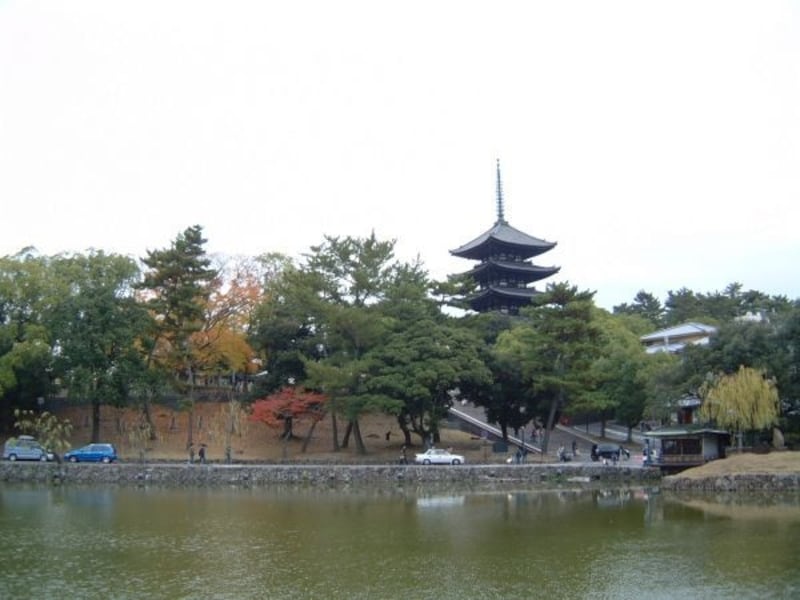 猿沢池から望む興福寺五重塔と紅葉