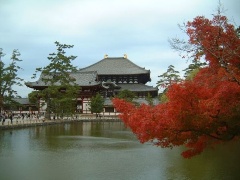 東大寺大仏殿と紅葉
