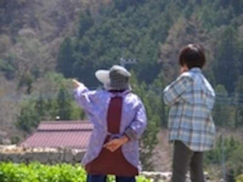 画像はイメージです