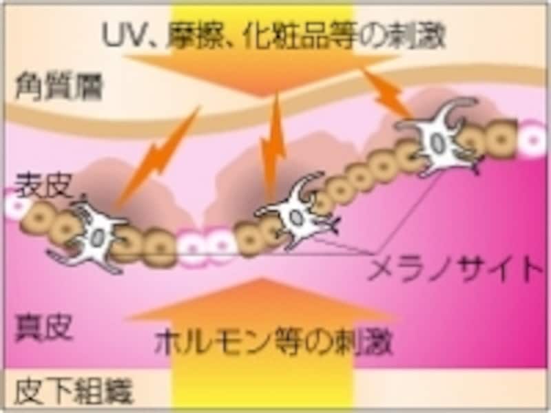 シミ生成