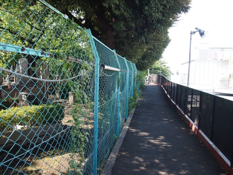 昔ながらの古い道が続いている