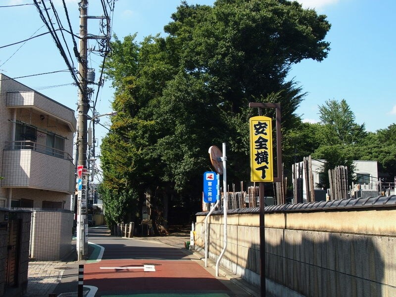 お寺などがたくさんある場所で見て回るだけでも楽しい