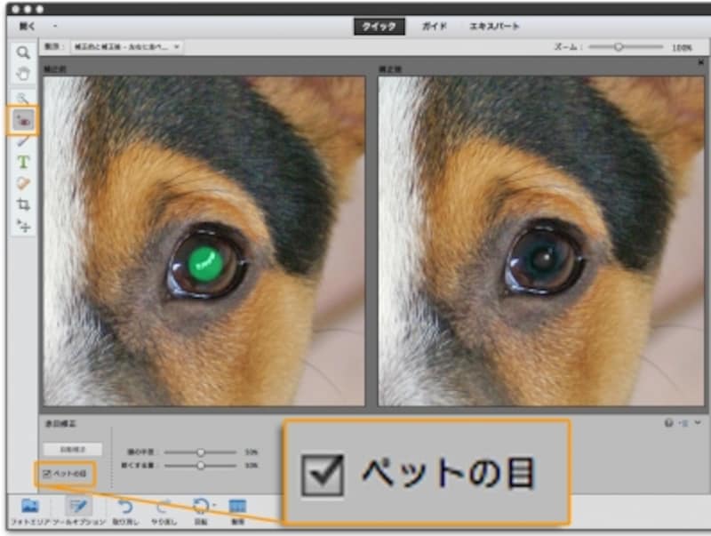 左側が補正前、右側が補正後の比較表示。「赤目補正」ツールのツールオプションにある「ペットの目」にチェックを入れて瞳をクリックすると、自然な色に自動的に補正します。