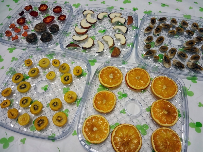 アピックスundefinedドライフードメーカー【AFD-550】