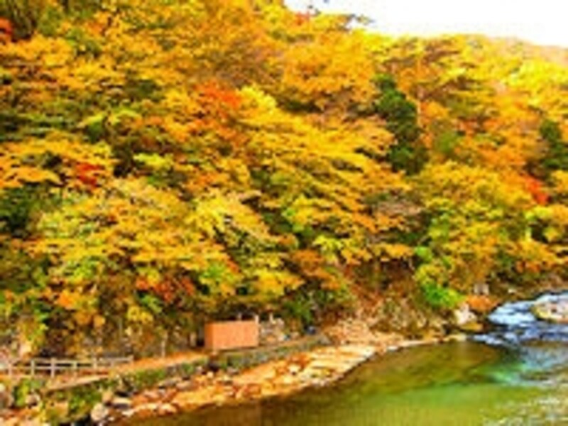 岩の湯付近の紅葉