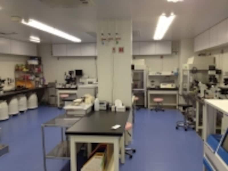 ファティリティ