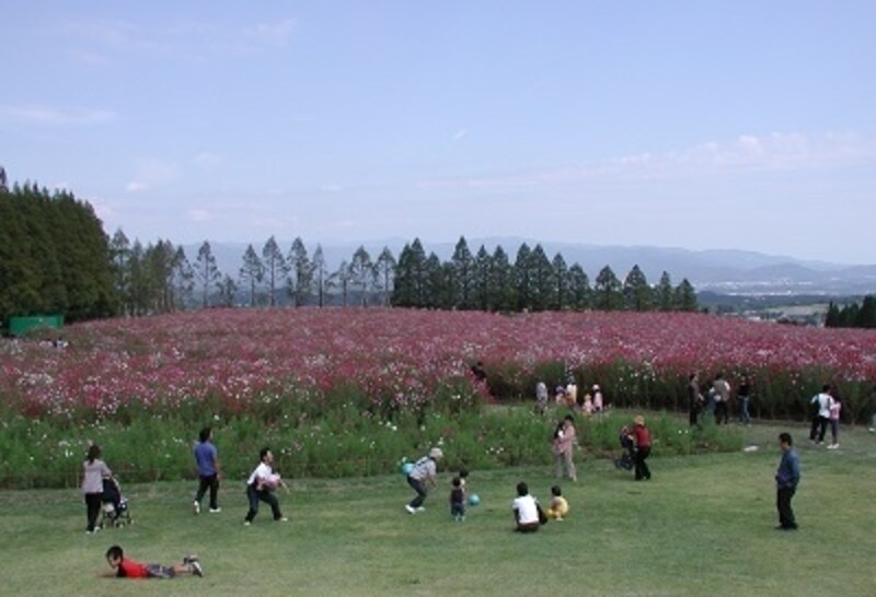 南国 宮崎でりんご狩り 生駒高原りんご園 フルーツ 味覚狩り All About 南国 宮崎でりんご狩り 生駒高原りんご園 フルーツ 味覚狩り All About