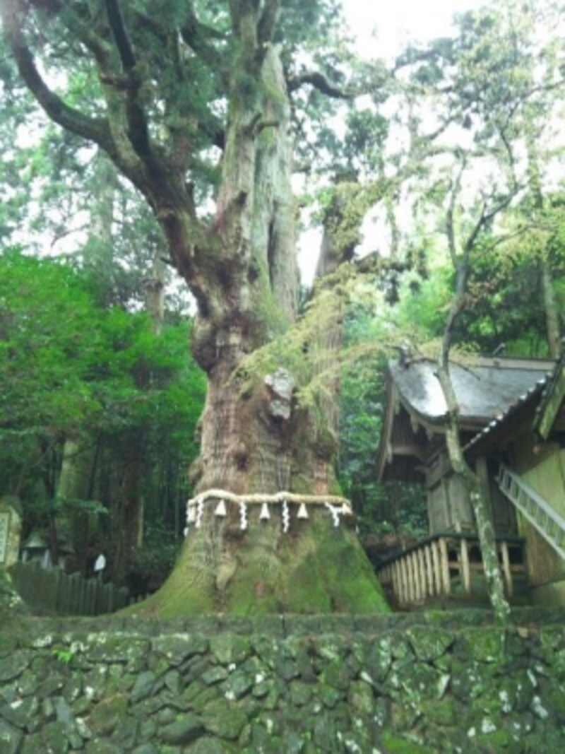 由布院にもあった 知る人ぞ知るパワースポット パワースポット All About