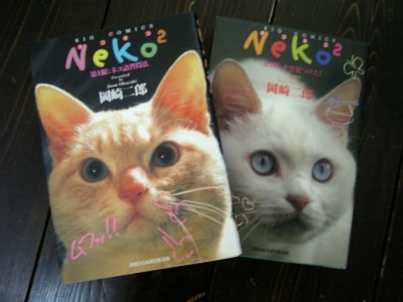 ただの可愛いネコマンガではありません Neko2 マンガ コミック All About ただの可愛いネコマンガではありません Neko2 マンガ コミック All About