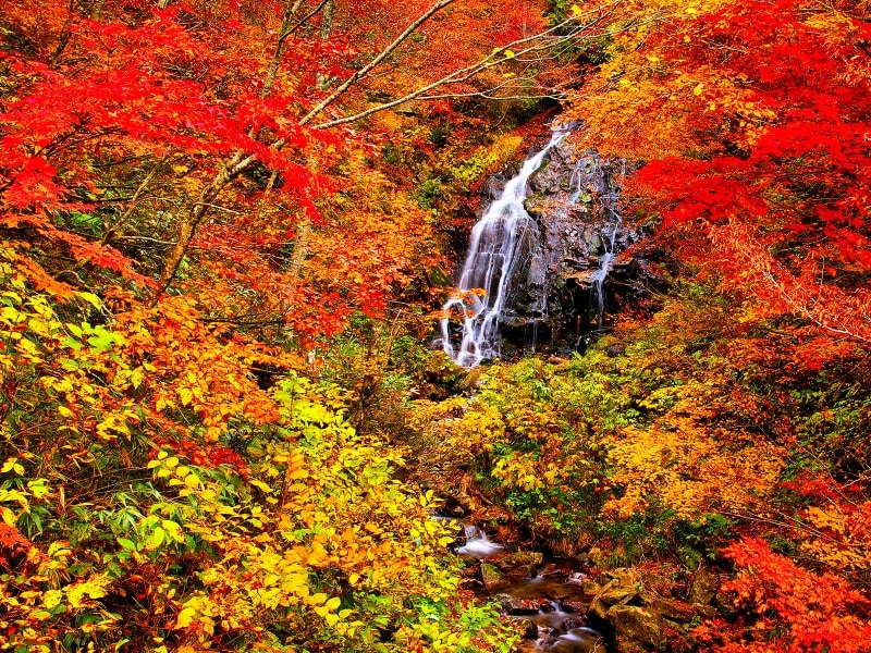 不動滝と紅葉