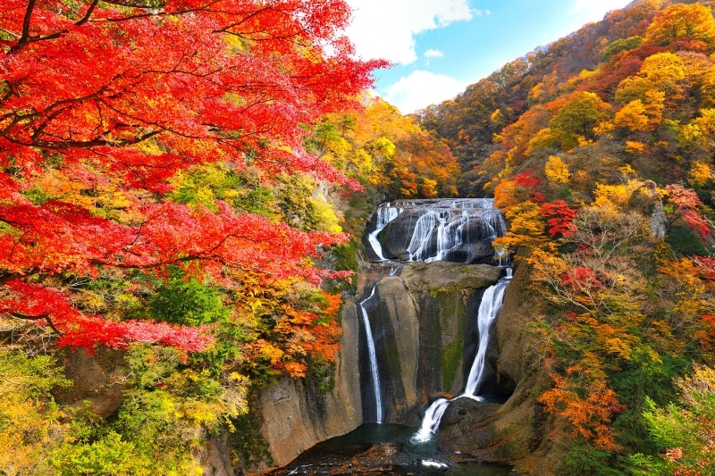 袋田の滝と紅葉