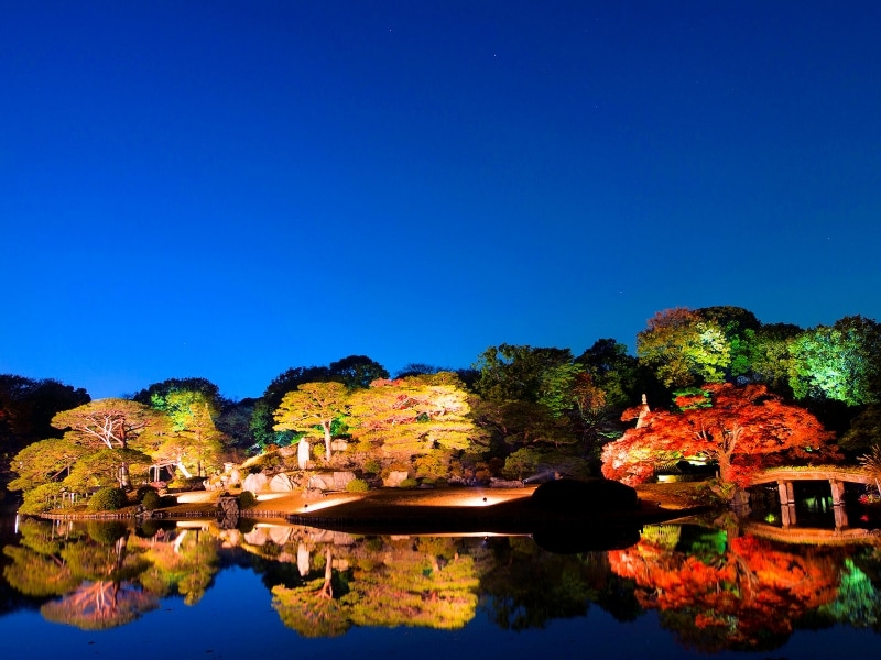 六義園の紅葉ライトアップ