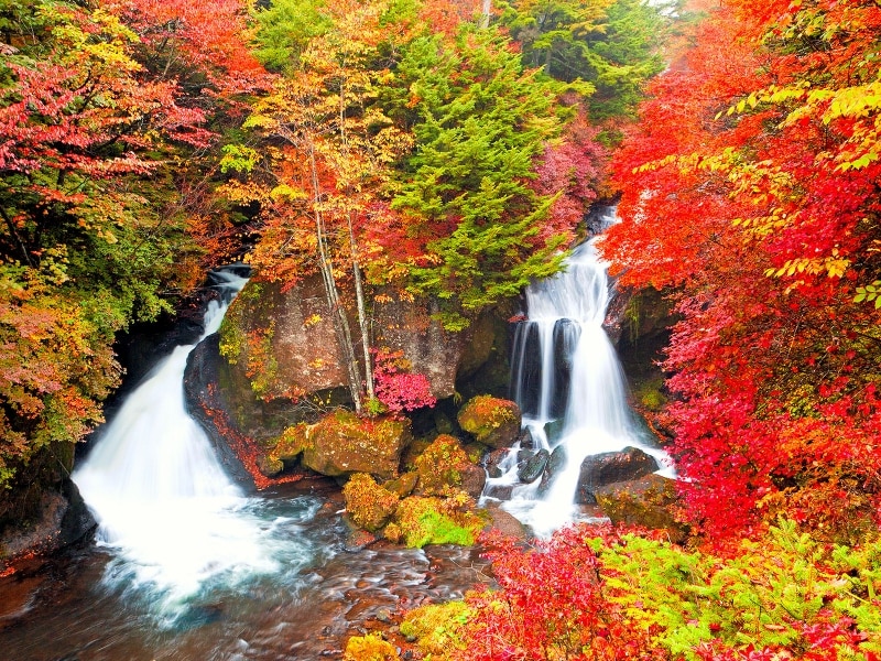 関東の紅葉名所で人気の竜頭の滝