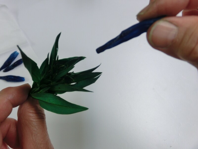 りんどうプリザ