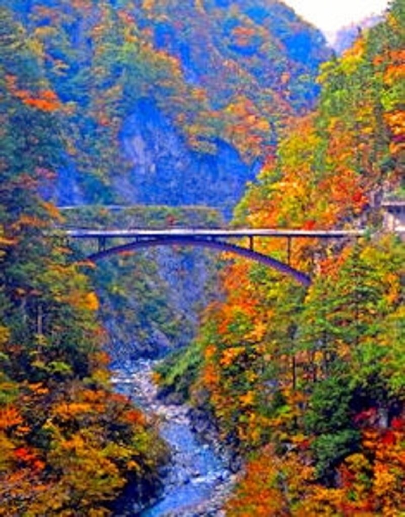 紅葉の白山スーパー林道