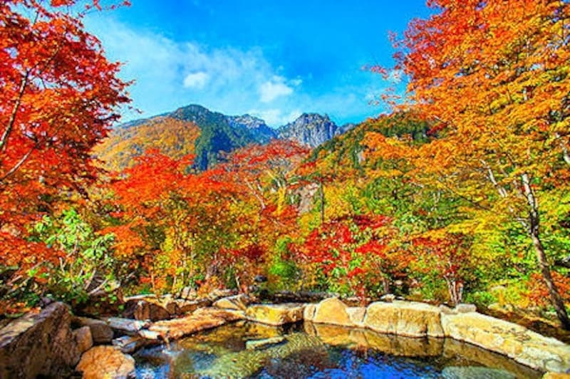 紅葉の野の花山荘露天風呂
