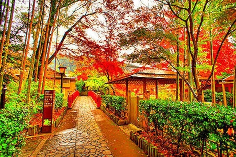 紅葉の修善寺温泉「竹林の小径」