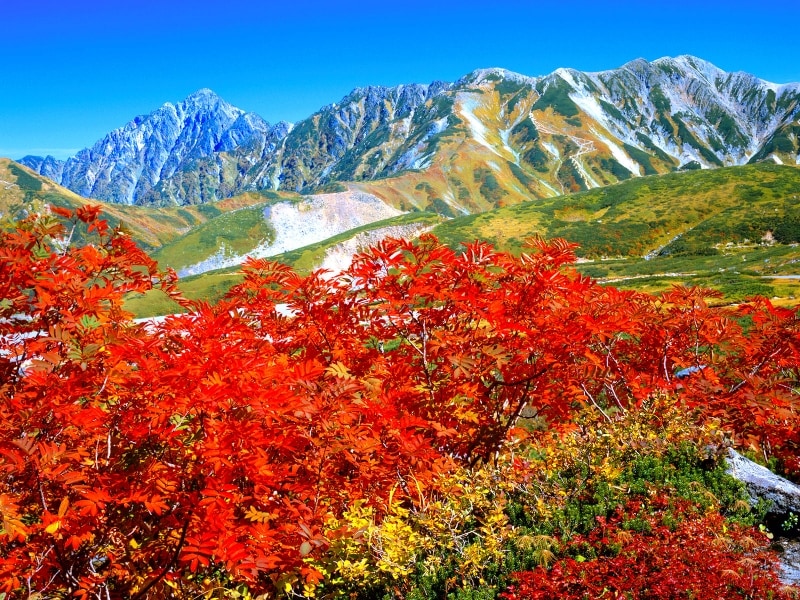 紅葉の立山