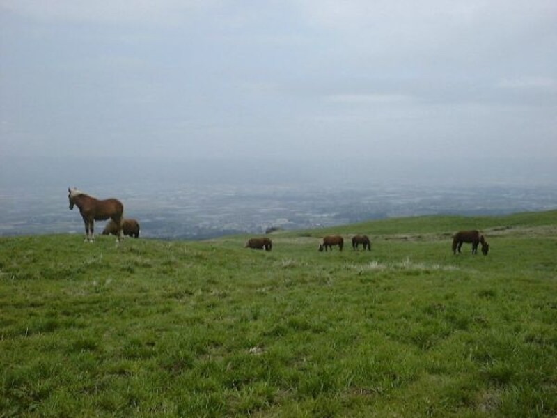 阿蘇・草千里にたたずむ馬たち