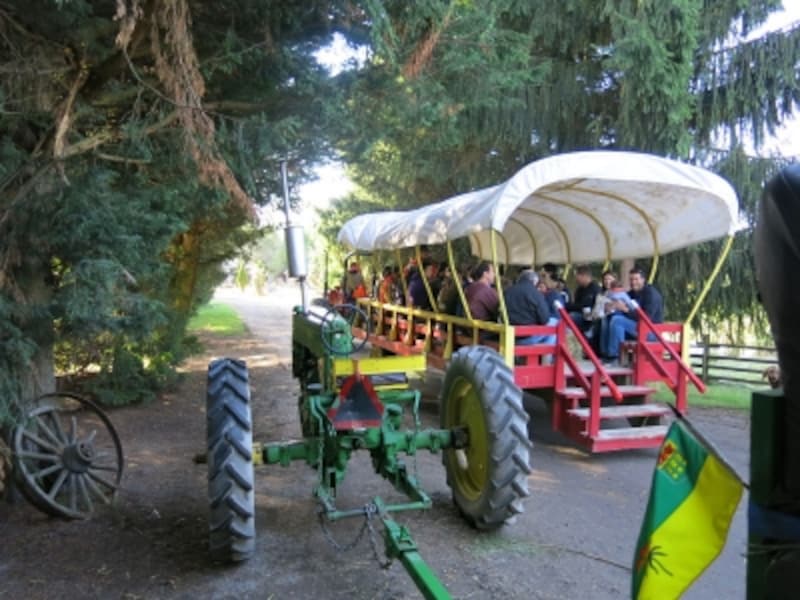 トラクターの引くワゴンでは、アコーディオンやバイオリンを弾いて、カントリーミュージックを歌ってくれるガイドも乗車