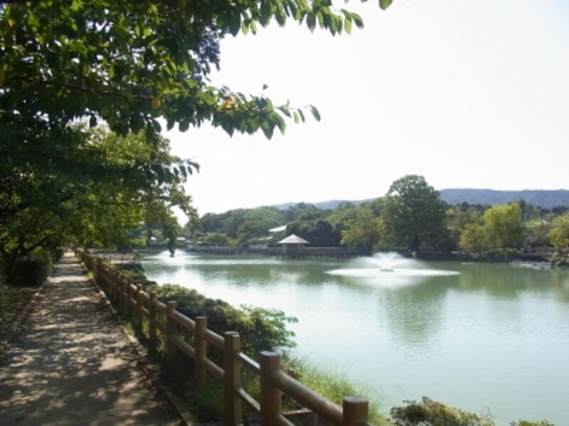 長岡京,神足,長岡天神