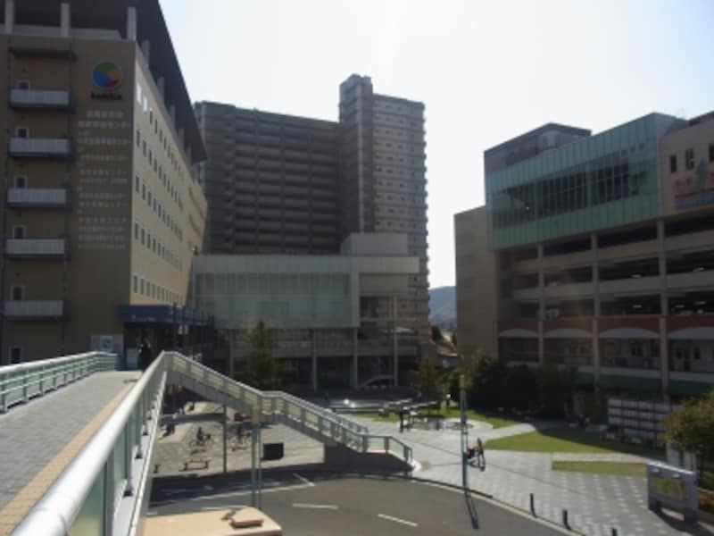 長岡京,神足,長岡天神