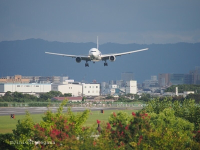 飛行機撮影