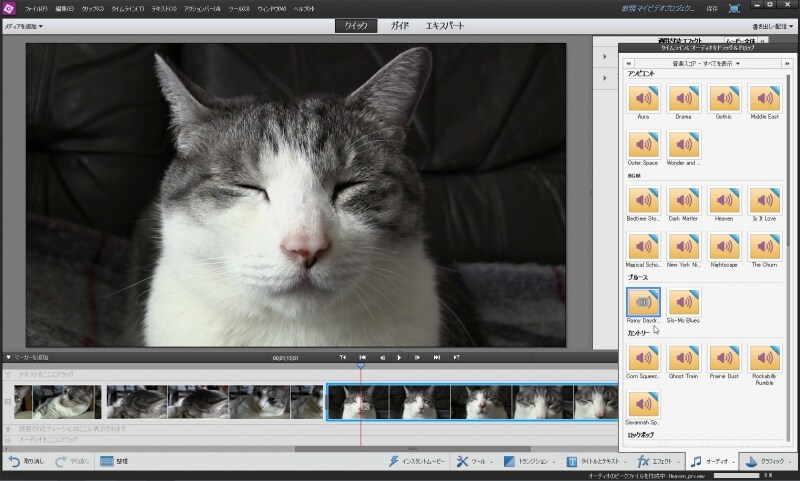 映像に合わせたピッタリのBGMを選曲できる