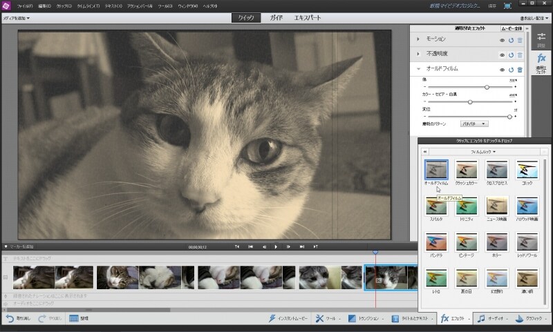 やはりフィルムルックにある「オールドフィルム」を適用した映像