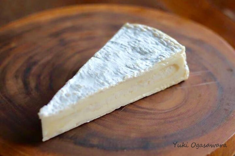 ボジョレーヌーボーに合うチーズ、ブリ・ド・モー