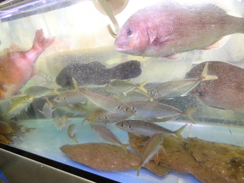 グルメ系100円寿司