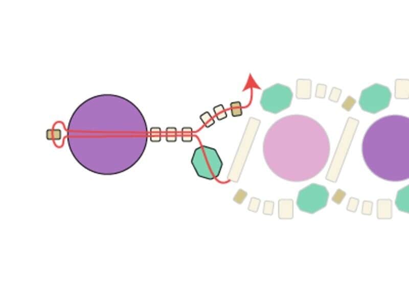 ここでも糸の引き締めを忘れずに