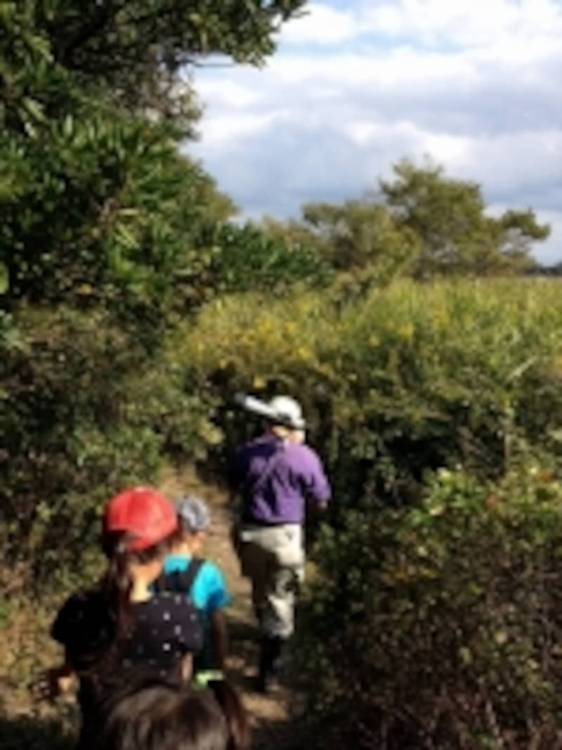 行徳野鳥観察舎