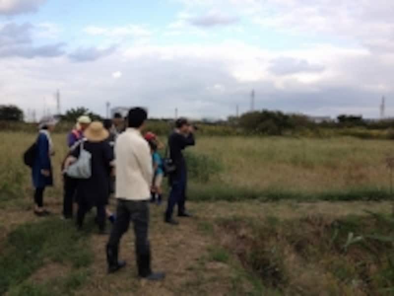 行徳野鳥観察舎