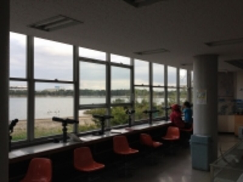 行徳野鳥観察舎