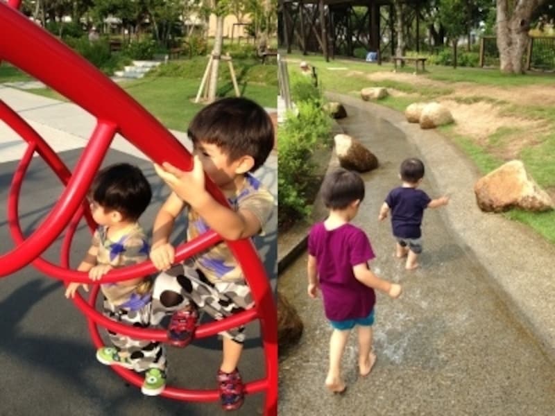 訪れたのは7月。「アリオ倉敷」の広場にはクマゼミがたくさんいました。広場内の小川は水遊びも可