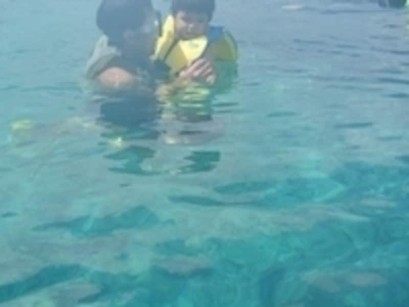 足元には一面のサンゴ