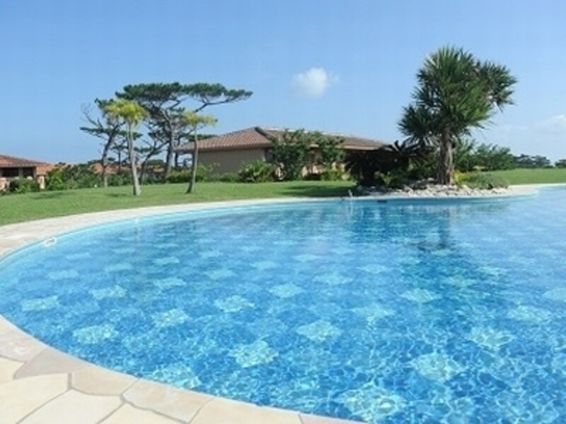 広いプールで思い切り泳げます