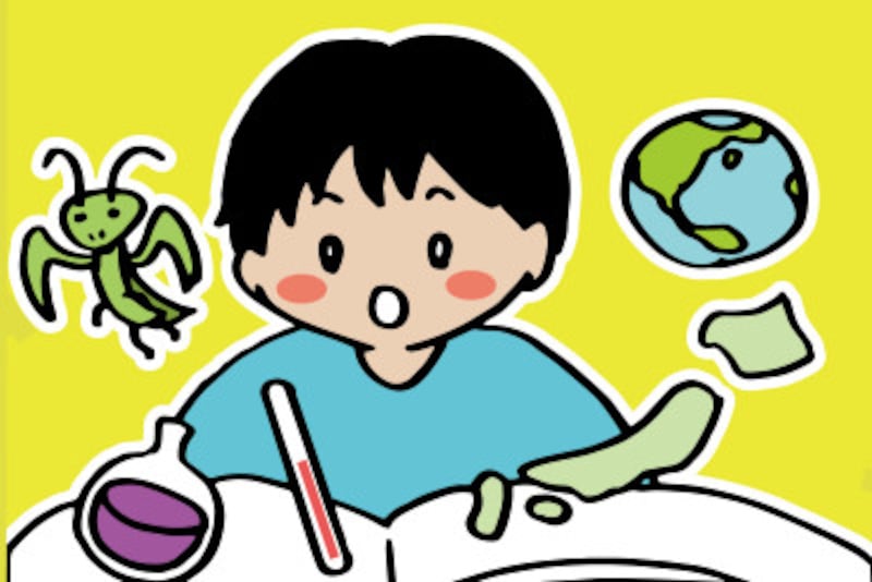 中学受験の理科・社会の学習範囲は公立中学で習う内容よりも学習する項目が多く、深く掘り下げた内容です。