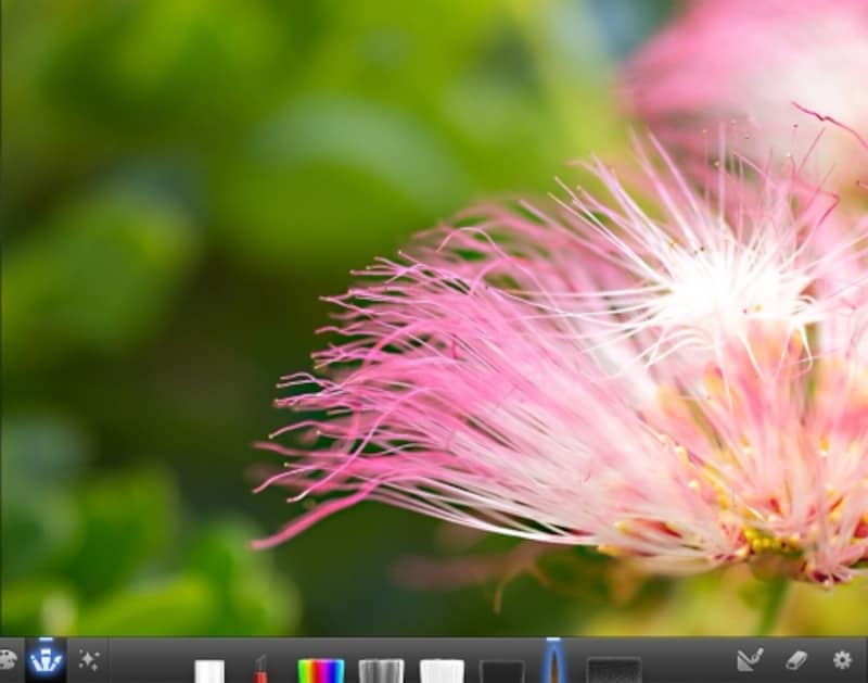 iPhotoで中段階のシャープをかけた状態。