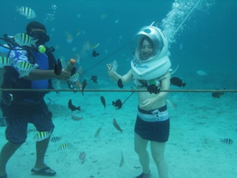 各種マリンスポーツが充実しています。ドルフィンウォッチングも！