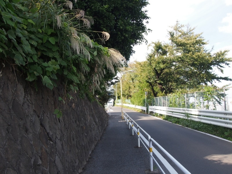 まるで、山道を歩いているような景色