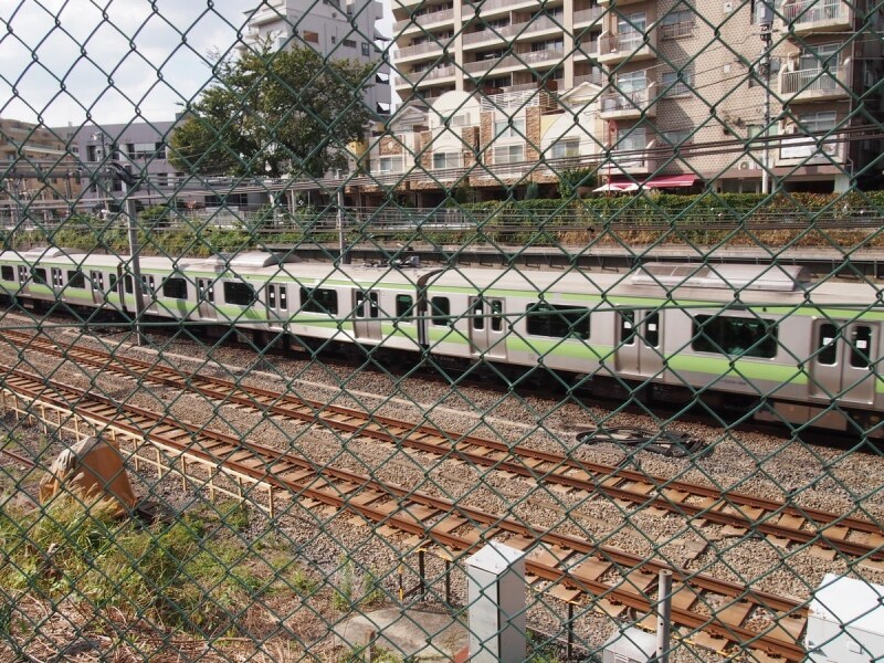 桜の木が沿線に植えられている