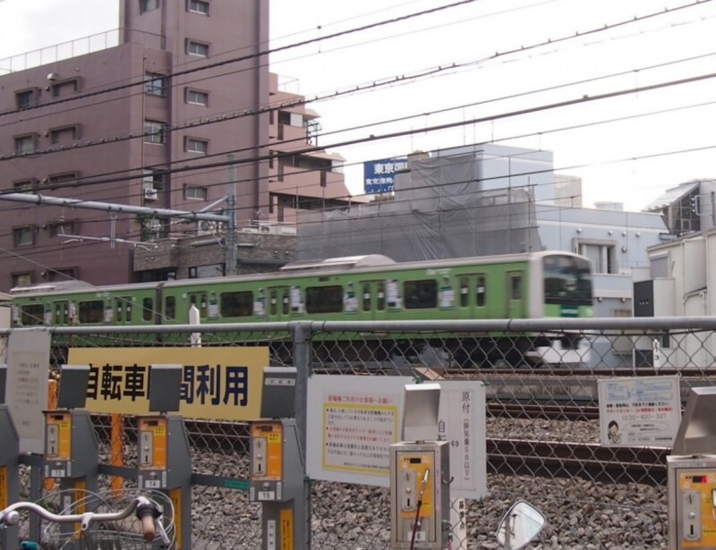 あわててカメラを向けたので、ブレ気味。