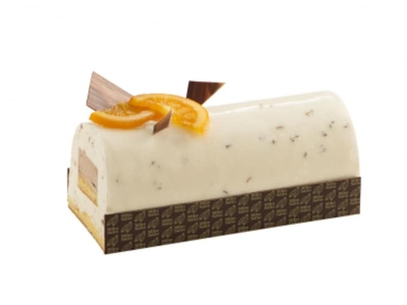 ブッシュソノーラ